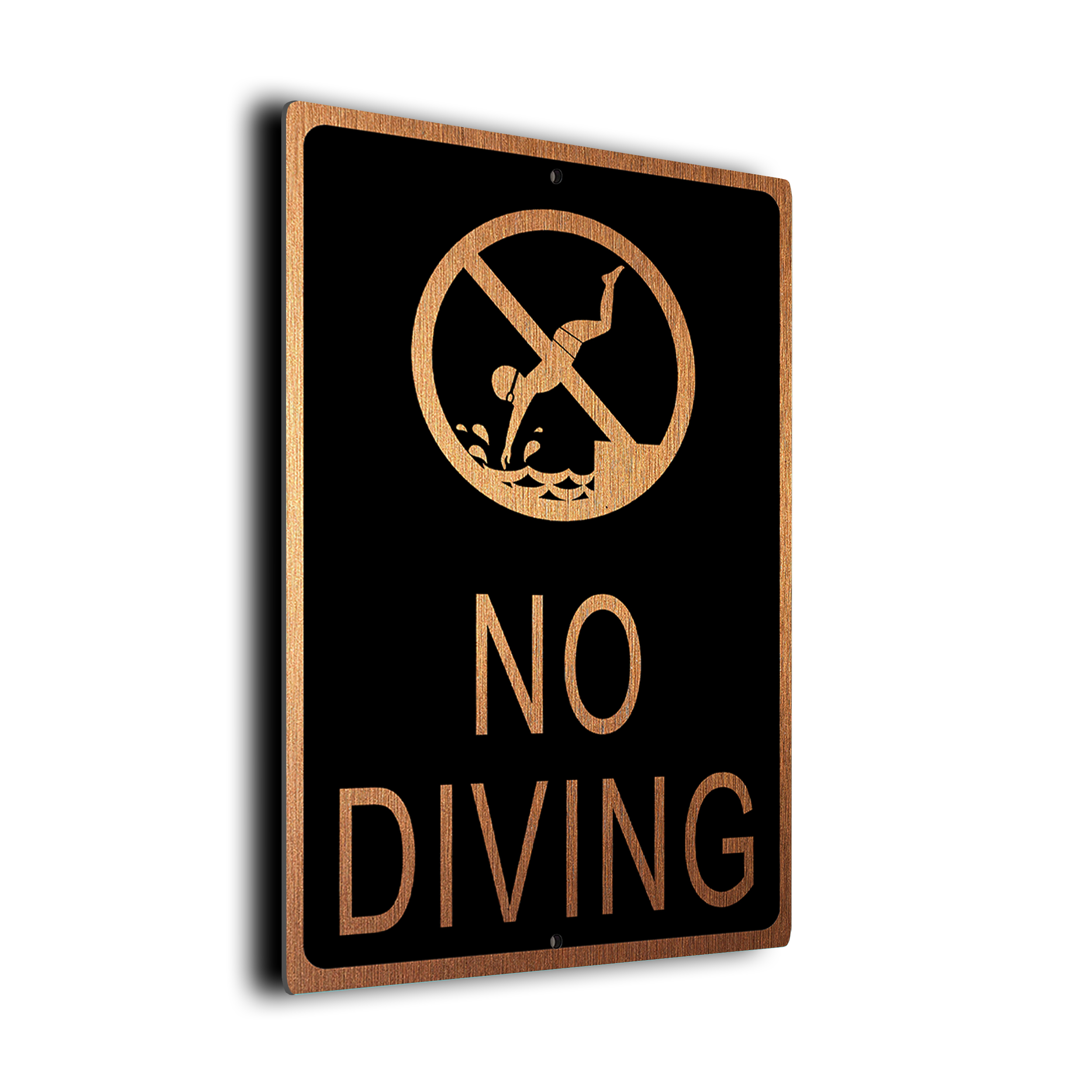 No Diving Pool Sign
