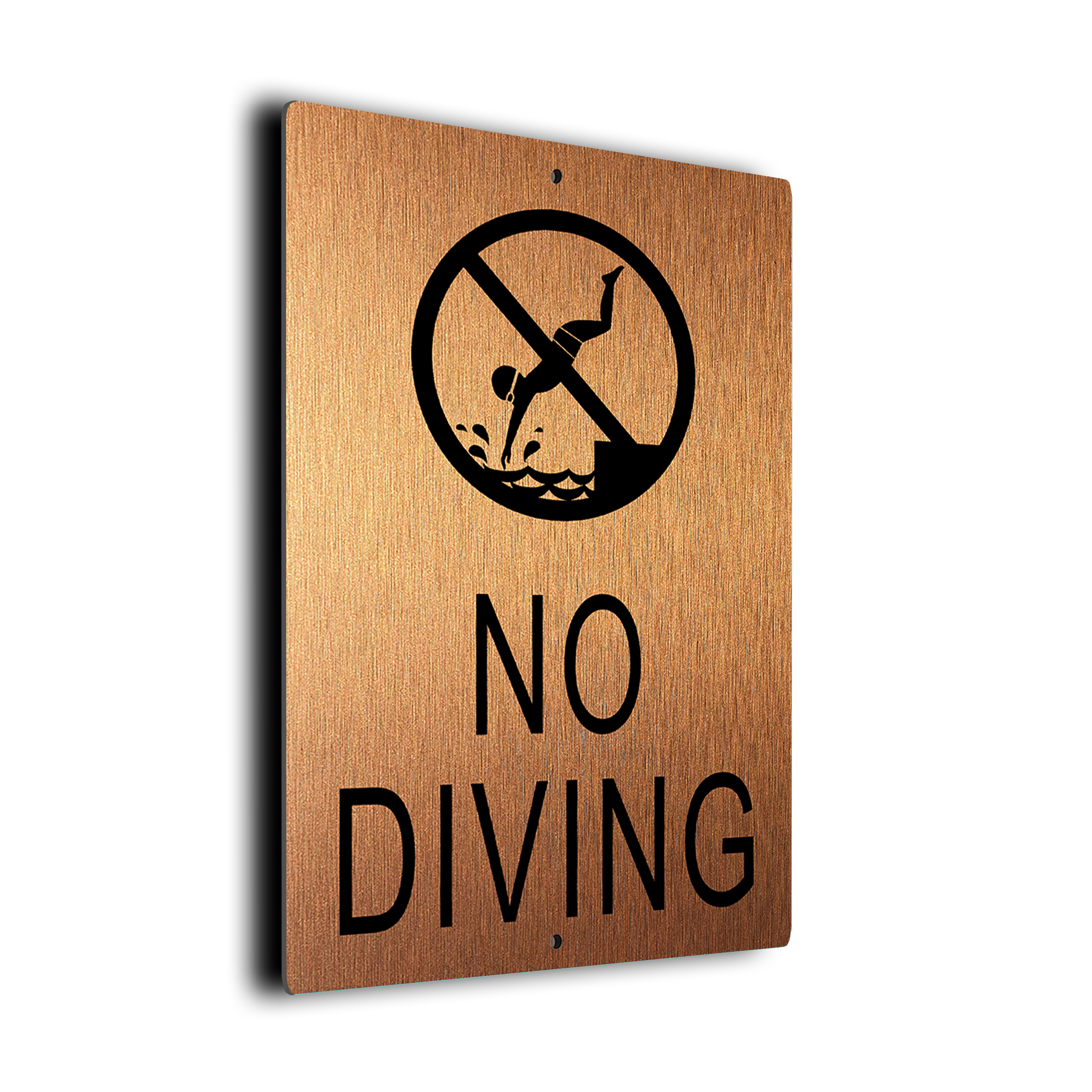 Pool No Diving Sign
