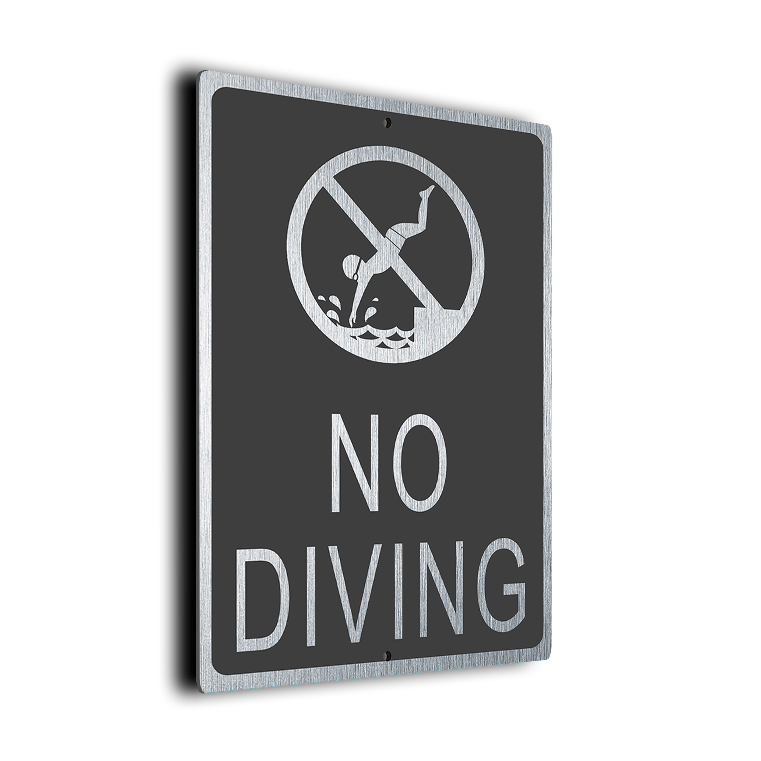 Modern No Diving Sign
