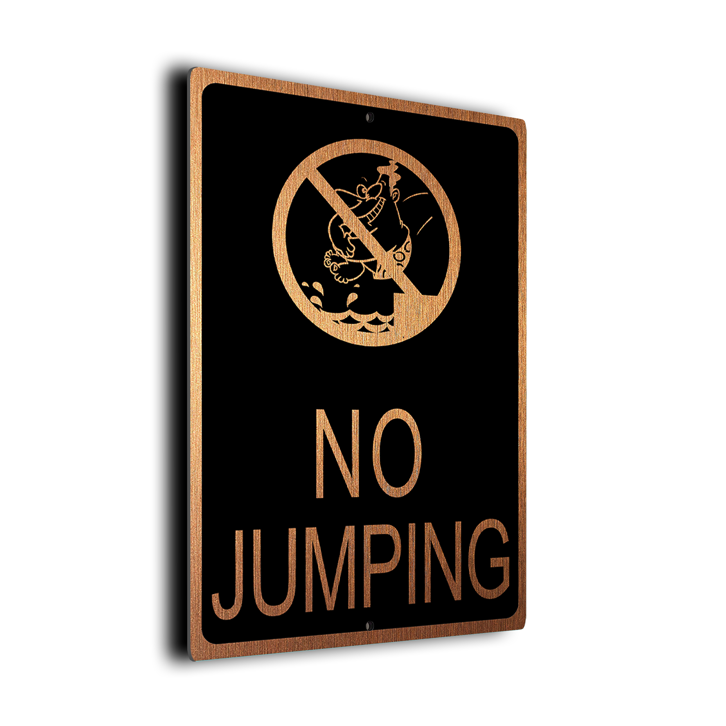 No Jumping Pool Sign