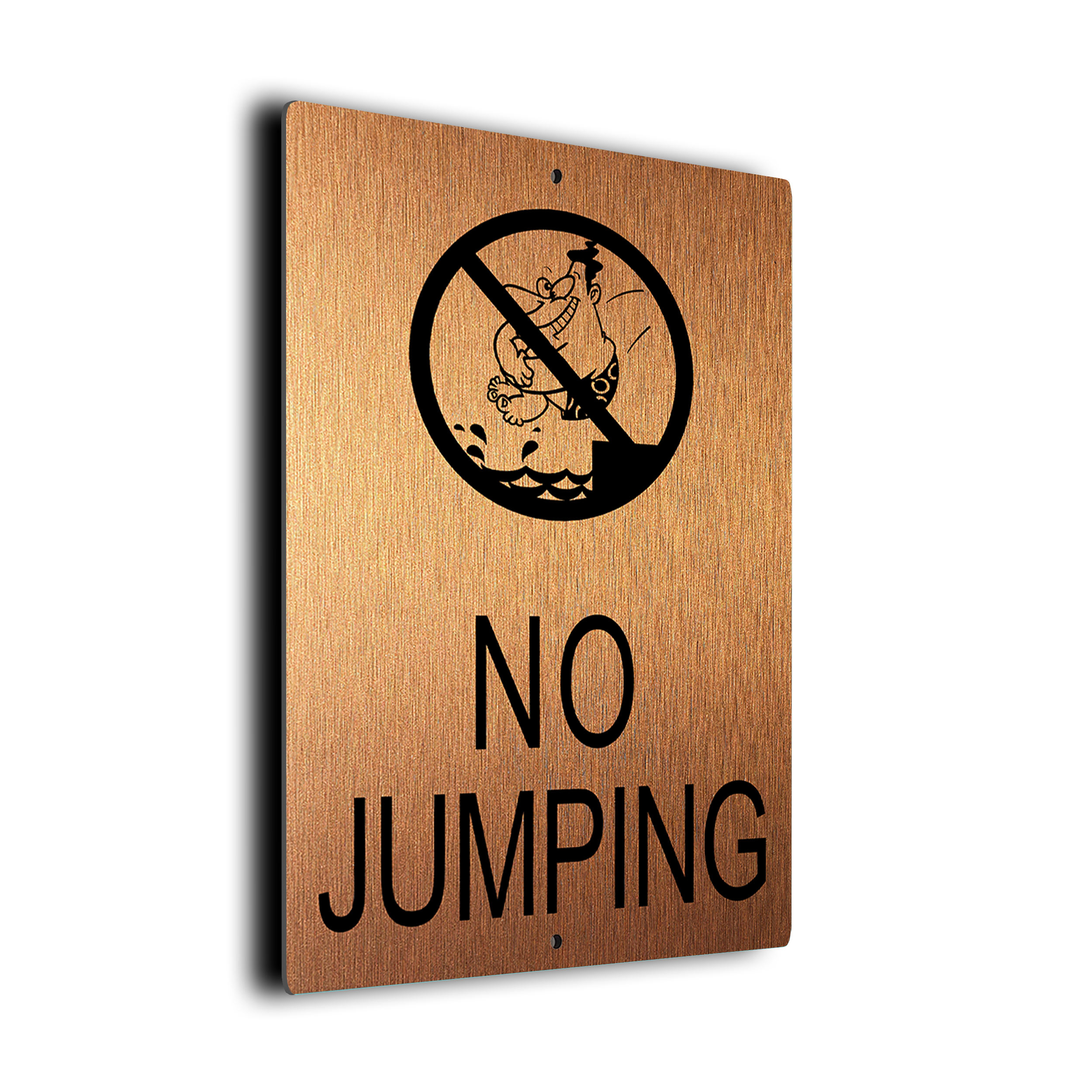 Pool No Jumping Sign